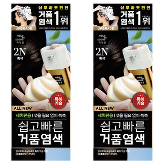 미쟝센 올 뉴 쉽고 빠른 거품 염색제, 2N흑색, 2개