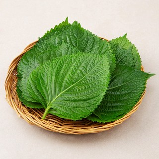 밀양 깻잎
