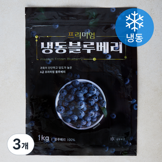 프리미엄 블루베리 (냉동), 3개, 1kg