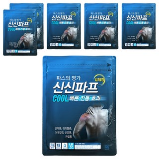 신신제약 신신파스 신신파프 쿨 파스, 5개입, 6개