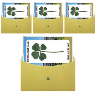 럭키심볼 행운의 네잎클로버 생화 코팅카드