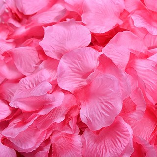 파티복닷컴 파티용 장미꽃잎, 로즈포인트, 1세트
