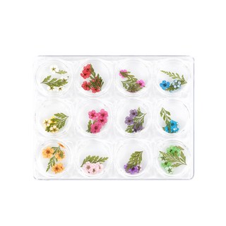 4. 엘비아 조팝 드..