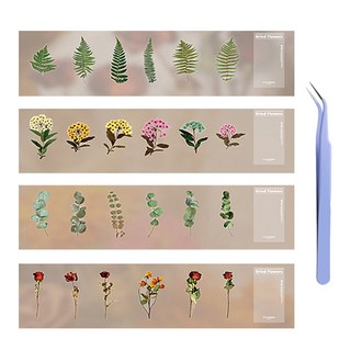 Dride Flowers 꽃집 시리즈 식물 스티커 4종 + 핀셋 세트, B TYPE(스티커), 랜덤발송(핀셋), 1세트