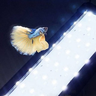 MIMINEAQUA LED 어항조명