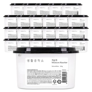 생활공작소 제습제 본품, 250g, 24개