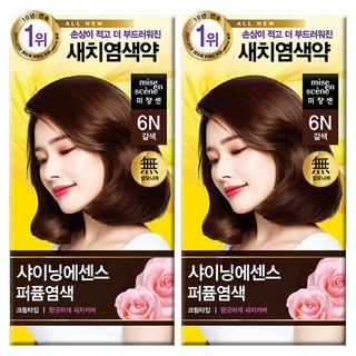미쟝센 샤이닝에센스 새치전용 염모제, 6N 갈색, 2개