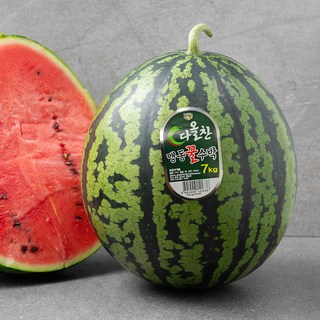 다올찬 맹동 꿀수박, 7kg 이상, 1개
