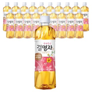 웅진 광명찾은 결명자차