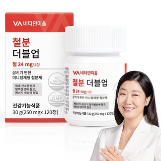 비타민마을 철분 더블업 미니 정제형 철분제, 120정, 1개