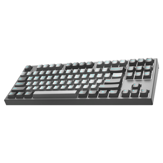 COX 가스켓 마운트 게이밍 기계식 키보드 갈축 CX87G PBT