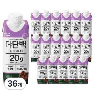 더단백 드링크 초코, 250ml, 36개