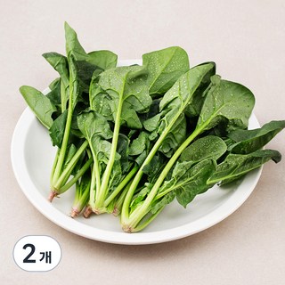 국내산 친환경 시금치, 200g, 2개