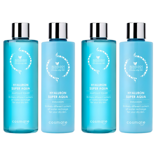 1. 청정미인 히아루..