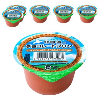 홋카이도 초코 푸딩