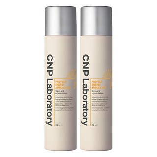 CNP차앤박 프로폴리스에너지 앰플 미스트, 250ml, 2개