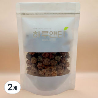 하루앤티 꾸지뽕 열매, 200g, 2개