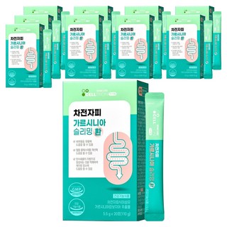 이너랩 차전자피 가르시니아 슬리밍 환, 110g, 10개