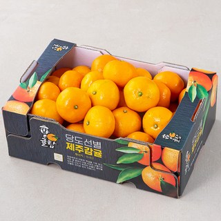 귤탐 당도선별 11brix 감귤, 2kg(로열과), 1개_당신의 건강을 지키는 귤의 힘