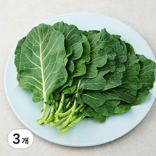 친환경 쌈케일 상품 이미지