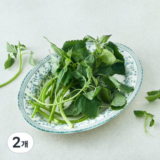 국내산 방아잎, 50g, 2개