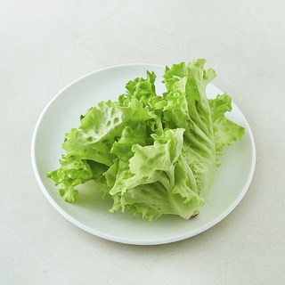 친환경 바타비아, 90g, 1개