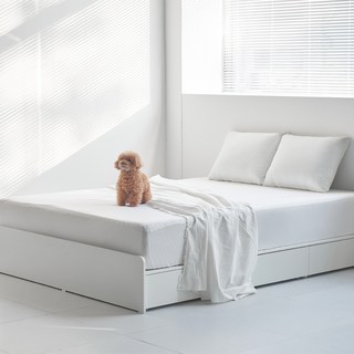 웨스트프롬 그루 S 리프트업 전체원목 LED 침대 프레임 (SS/Q/K/LK) 2colors, 내추럴 수납침대 13 도모 라베노 무헤드 3단 수납형 침대 프레임 단품 방문설치, 화이트