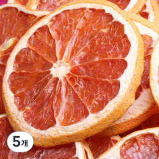 올내추럴 원형컷 건조 자몽, 100g, 5개