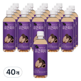 일화차시 유근피차