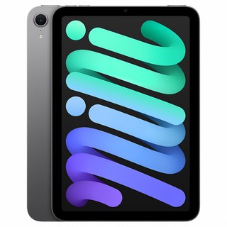 Apple 台灣公司貨 iPad mini A17 Pro 8.3吋 原廠保固, 太空灰, 256GB, Wi-Fi