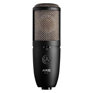AKG 스튜디오용 유선마이크 P420