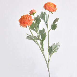 2. 주앤지 인테리어..