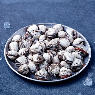 숨비해물 대사이즈 새꼬막 45~65미 (냉장), 1개, 800g