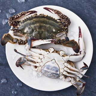 피시원 산지직송 알이 꽉찬 알배기 봄 암꽃게 (냉장), 500g, 1개