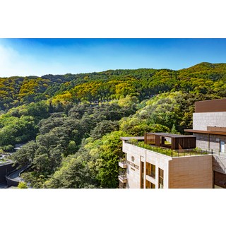 [충청북도 제천시] 레스트리 리솜