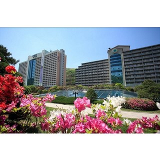 [홍천] 소노벨 비발디파크 or 소노펠리체