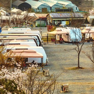 [파주시] 마실캠핑장