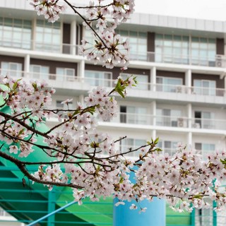 [예산군] 스플라스 리솜(덕산)