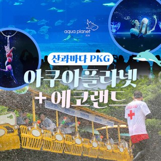 [제주] 수목원테마파크의 즐거운 모습