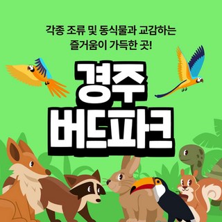 [경북] [경주] 버드파크 (1시간 전 구매 후 이용)