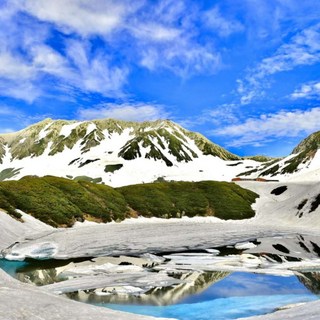 알펜루트 패키지