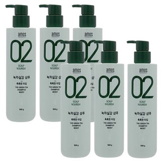 아모스 녹차실감 중건성두피 모이스트 샴푸, 500g, 6개 녹차실감샴푸 아모스 녹차실감 중건성두피 모이스트 샴푸, 500g, 6개 녹차실감샴푸