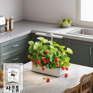 [플랜티] 가정용 식물재배기