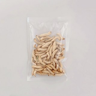 왁스웜월드 프리미엄 동결건조 왁스웜 계곡낚시용 떡밥 산천어 꺽지 특효 꿀벌부채명나방 천연미끼 계류 민물낚시 필수템, 10g, 1개