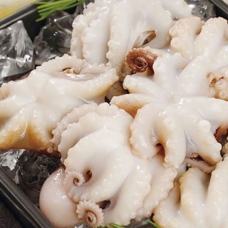 알렉스 손질 통 주꾸미, 5개, 20미