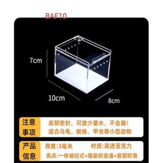 아프리카왕달팽이 달팽이키우기 백와달팽이 수궁유생세트, E. 아크릴 BAF10 10x8x7cm