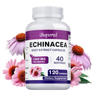 에키나세아 캡슐 1500MG | 건강과 웰빙 지원 | 에키나세아 뿌리 허브 추출물 보충제 | 미국에서 생산, 1개, 60정