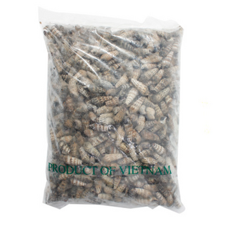 갯고동 1kg, 1개, 단품