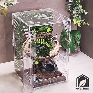 에버리움 크레스티드 게코 도마뱀 아크릴 사육장 세트 - 소형 20x20x30cm, 1세트, 기본투명