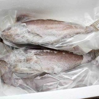 [고급] 국산 반건조 민어 생선 선물, 5개, 230g 내외(중사이즈)